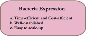 Bacteria Expression