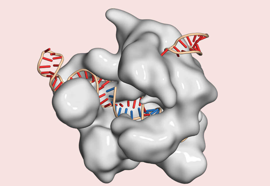 The 2024 Chemistry Nobel Prize