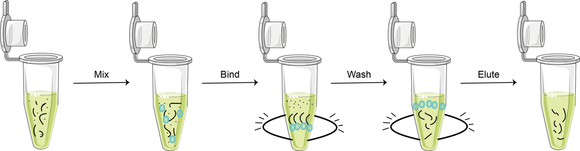 mRNA purification kit - Profacgen