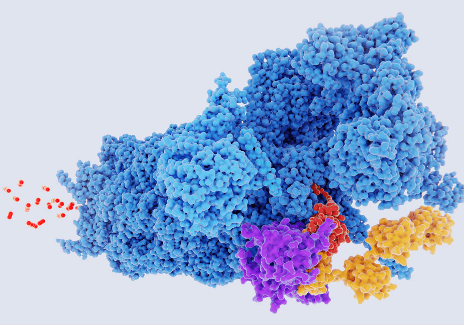 The 2024 Chemistry Nobel Prize