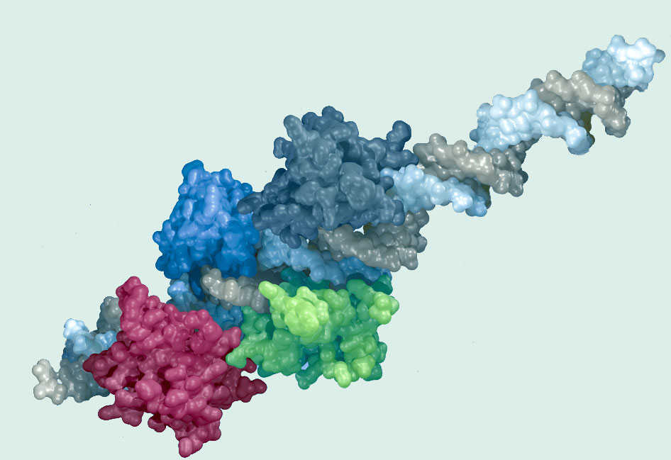 The 2024 Chemistry Nobel Prize
