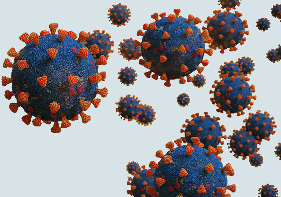 The 2024 Chemistry Nobel Prize