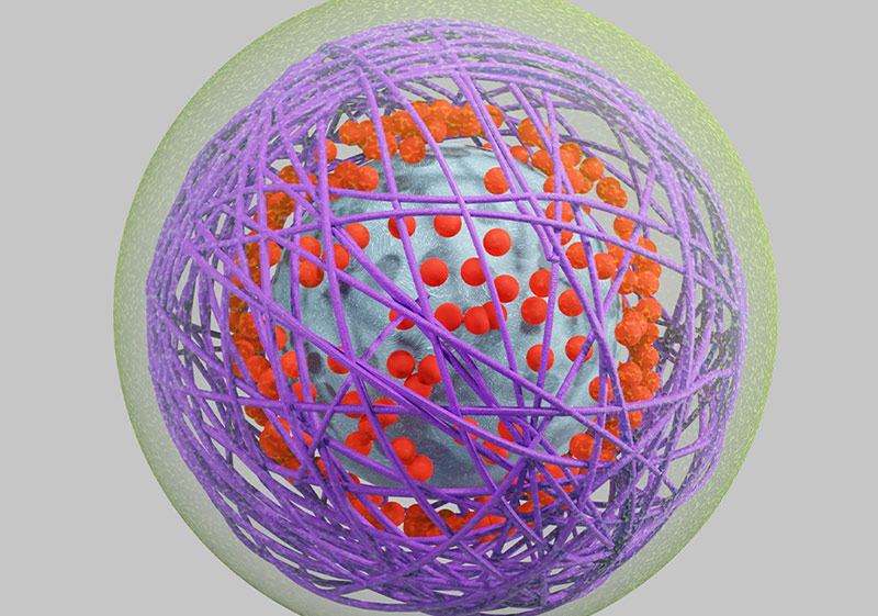 Profacgen Christmas Special Sale