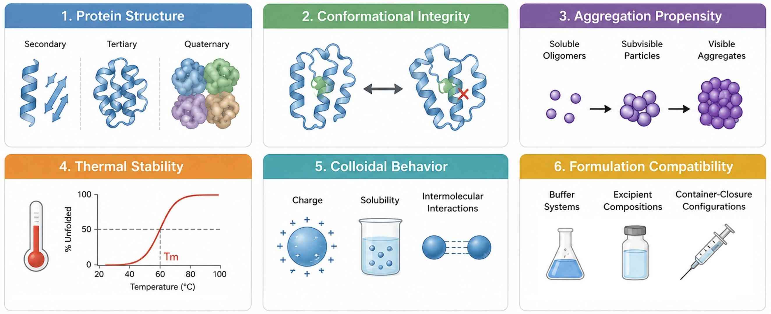 Key biophysical properties of biomolecules including structure, stability, and aggregation