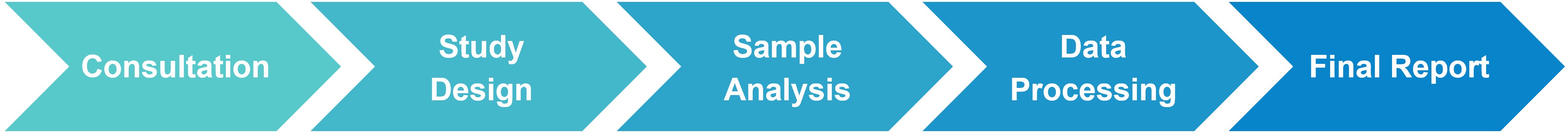 Biophysical characterization workflow