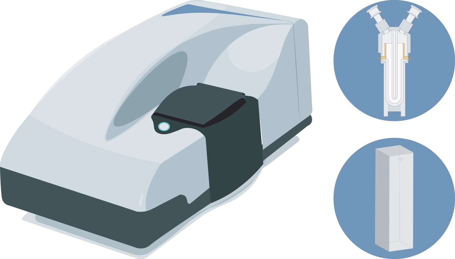Dynamic light scattering DLS services for biomolecule characterization