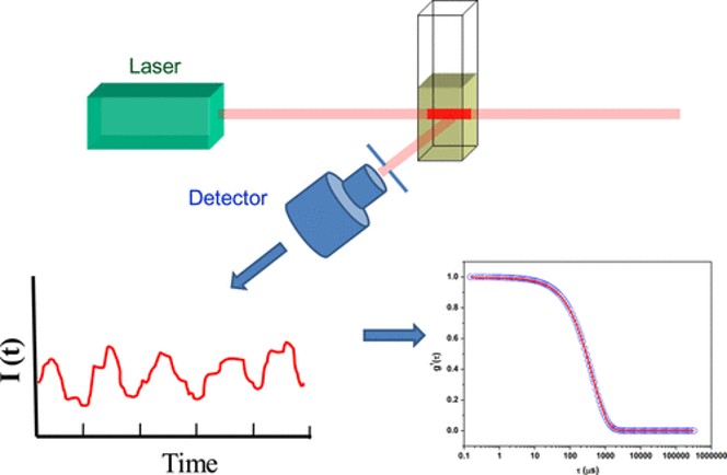 Basic setup of DLS measurement system