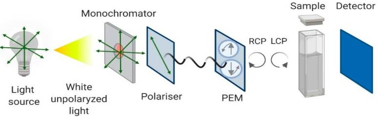 Schematic representation of the Circular Dichroism instrument configuration