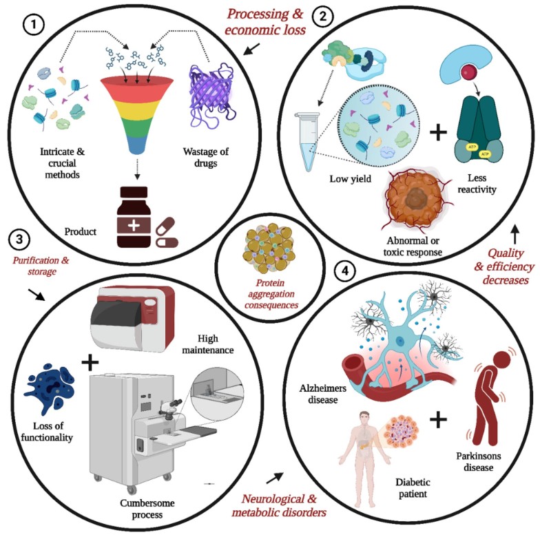 Exploring protein aggregation in biological products: from mechanistic understanding to practical solutions