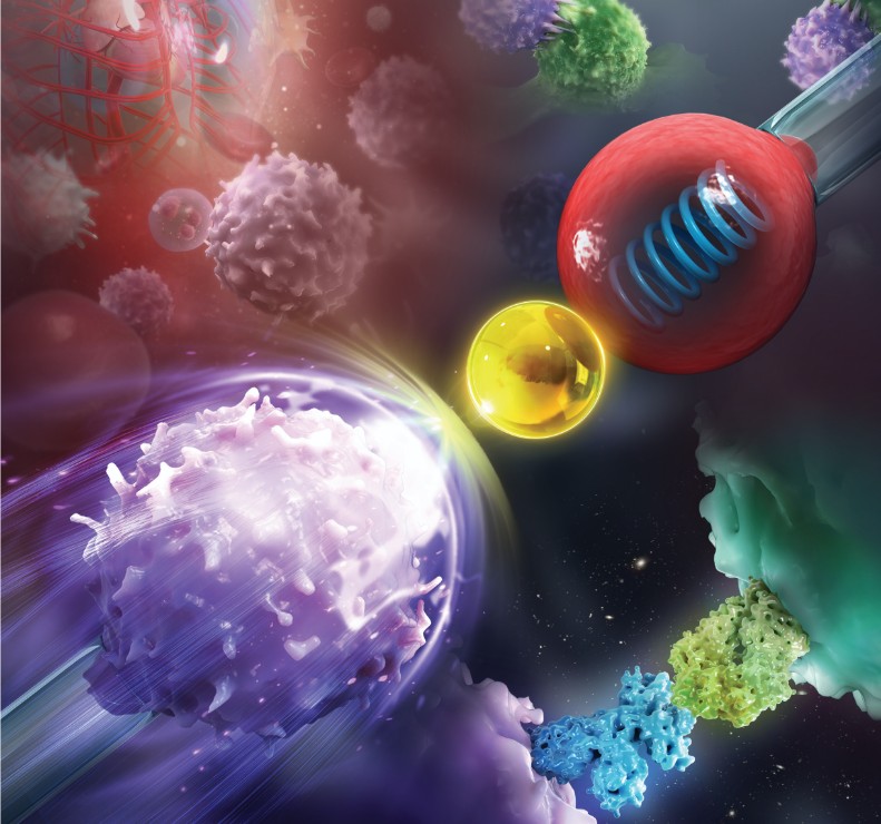 Biomembrane Force Probe for single-molecular bond quantification, Moldovan et al., 2023