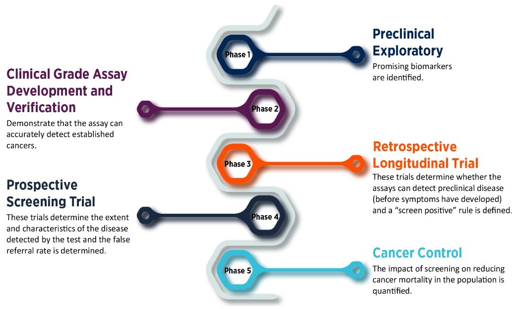 The biomarker development pipeline from discovery to clinical validation