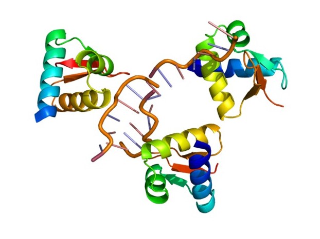 RNA-Protein Interactions