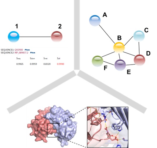 Computational protein-protein interaction prediction pipeline
