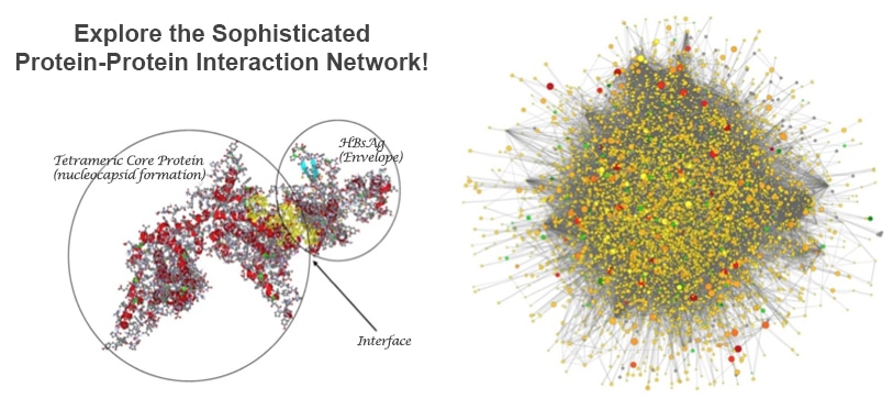 Protein-protein interactions