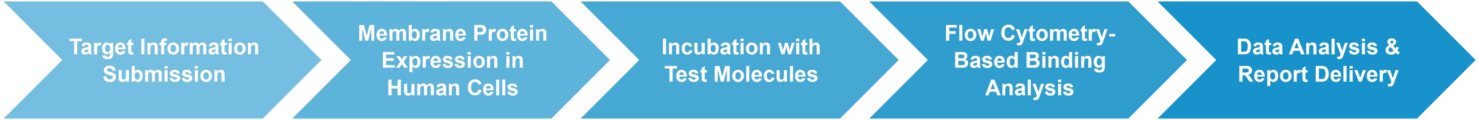 Membrane protein screening workflow from ligand submission to hit validation
