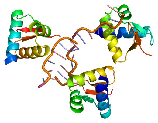 RNA-protein interaction analysis services for post-transcriptional regulation research