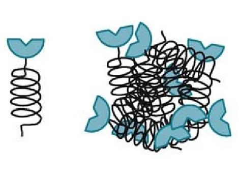 Protein ELPylation service