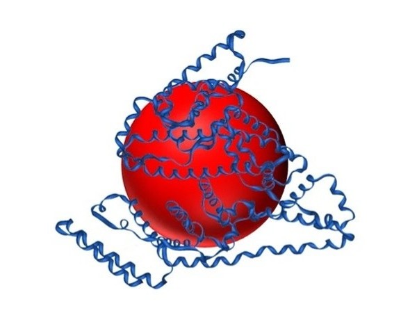 Protein Quantum Dot Labeling service
