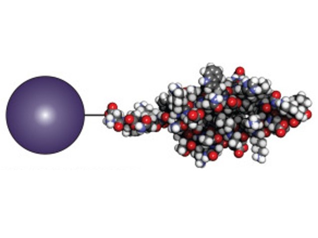 Protein Immobilization service
