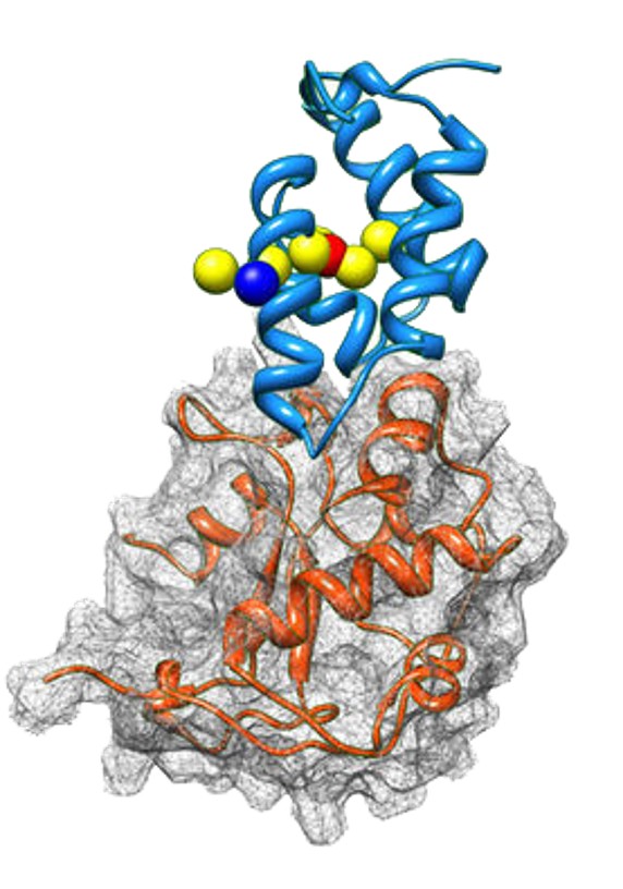 Reagent-based crosslinking services