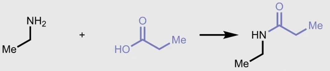 Amine-reactive chemistries