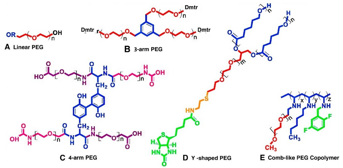 PEGylation technology