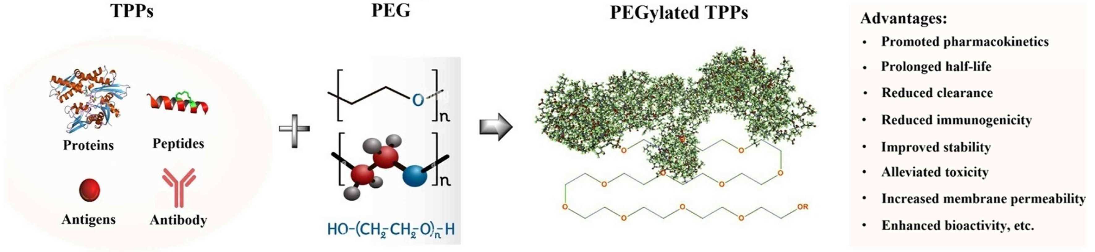 Custom PEGylation services