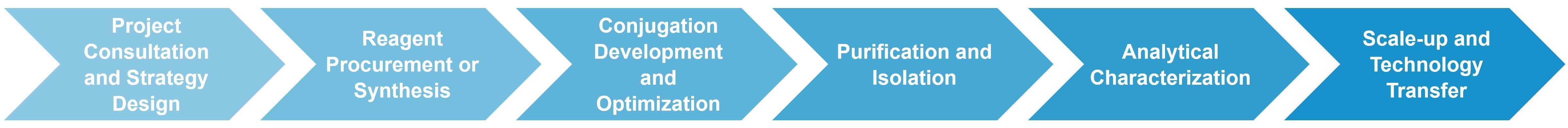 Custom PEGylation service workflow