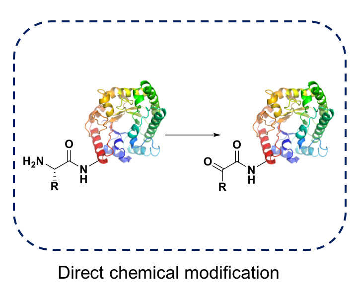 Incorporation of Unnatural Amino Acids
