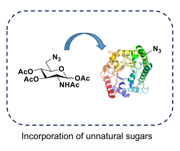 Direct Chemical Modification
