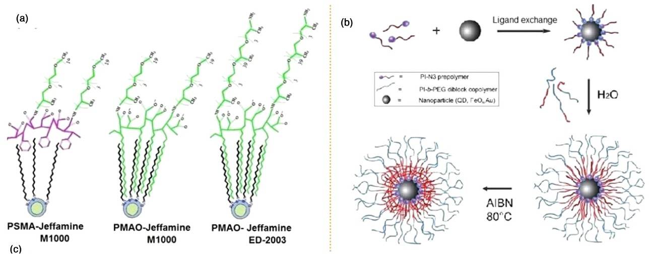 Surface ligands engineering of semiconductor quantum dots for chemosensory and biological applications