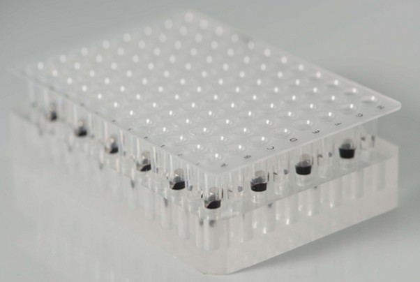 Protein-conjugated magnetic beads for affinity purification