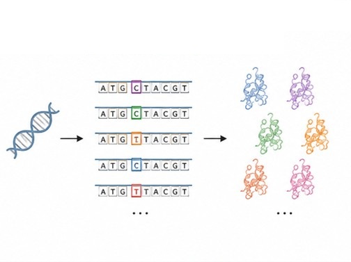 Random mutagenesis for directed evolution