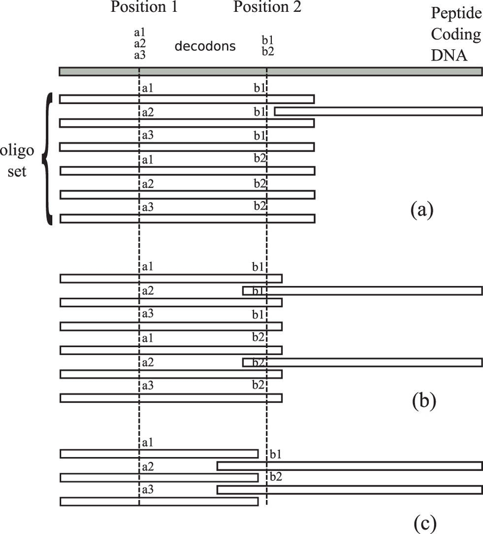 High-throughput protein mutant library construction services