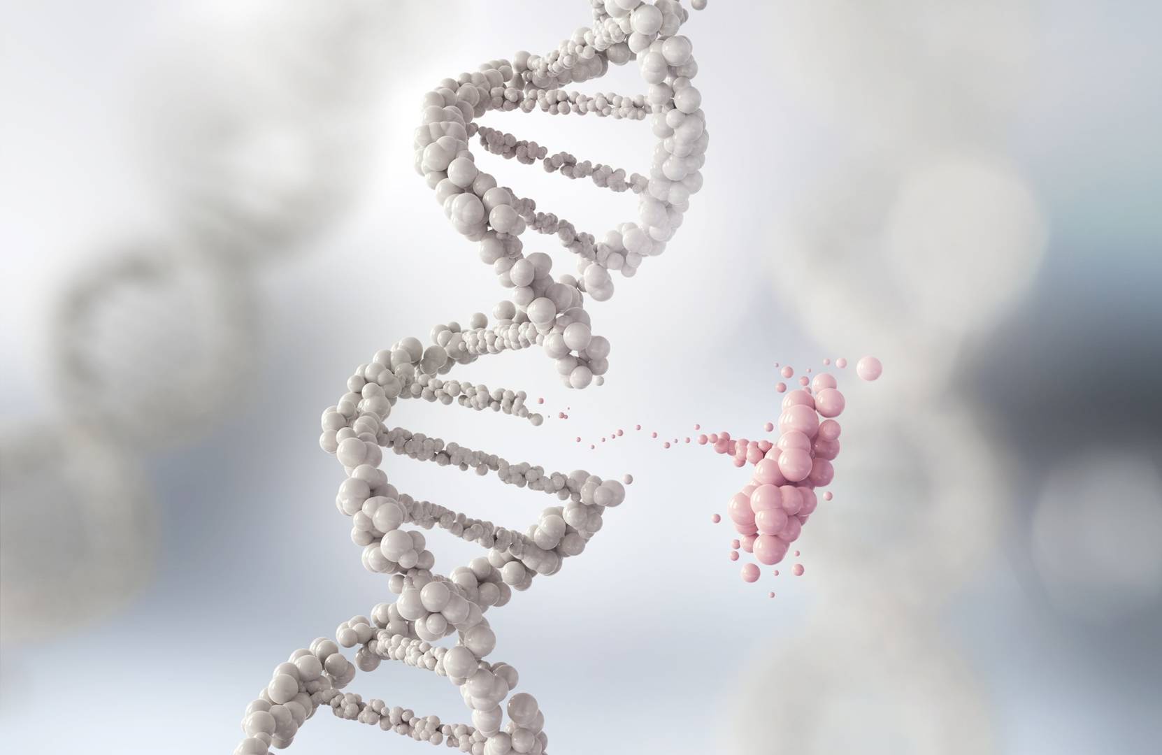 Site-directed mutagenesis services for precise DNA and protein engineering