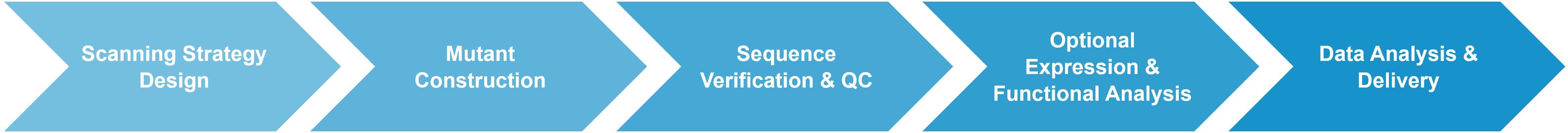 Scanning mutagenesis service workflow