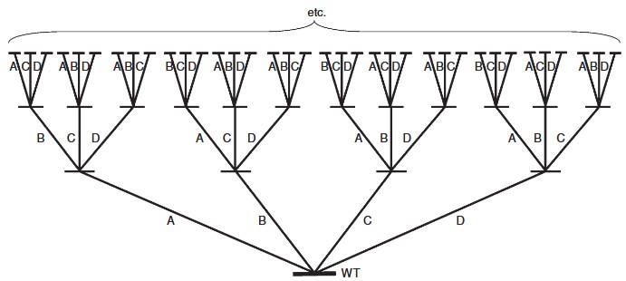 Comparison of codon degeneracy strategies for saturation mutagenesis