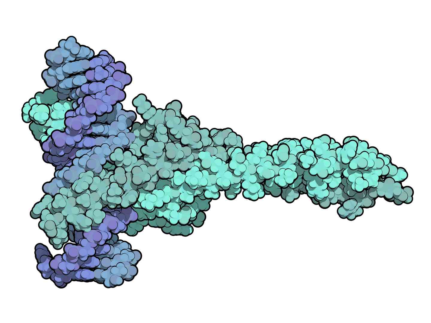 Transcription factor profiling service