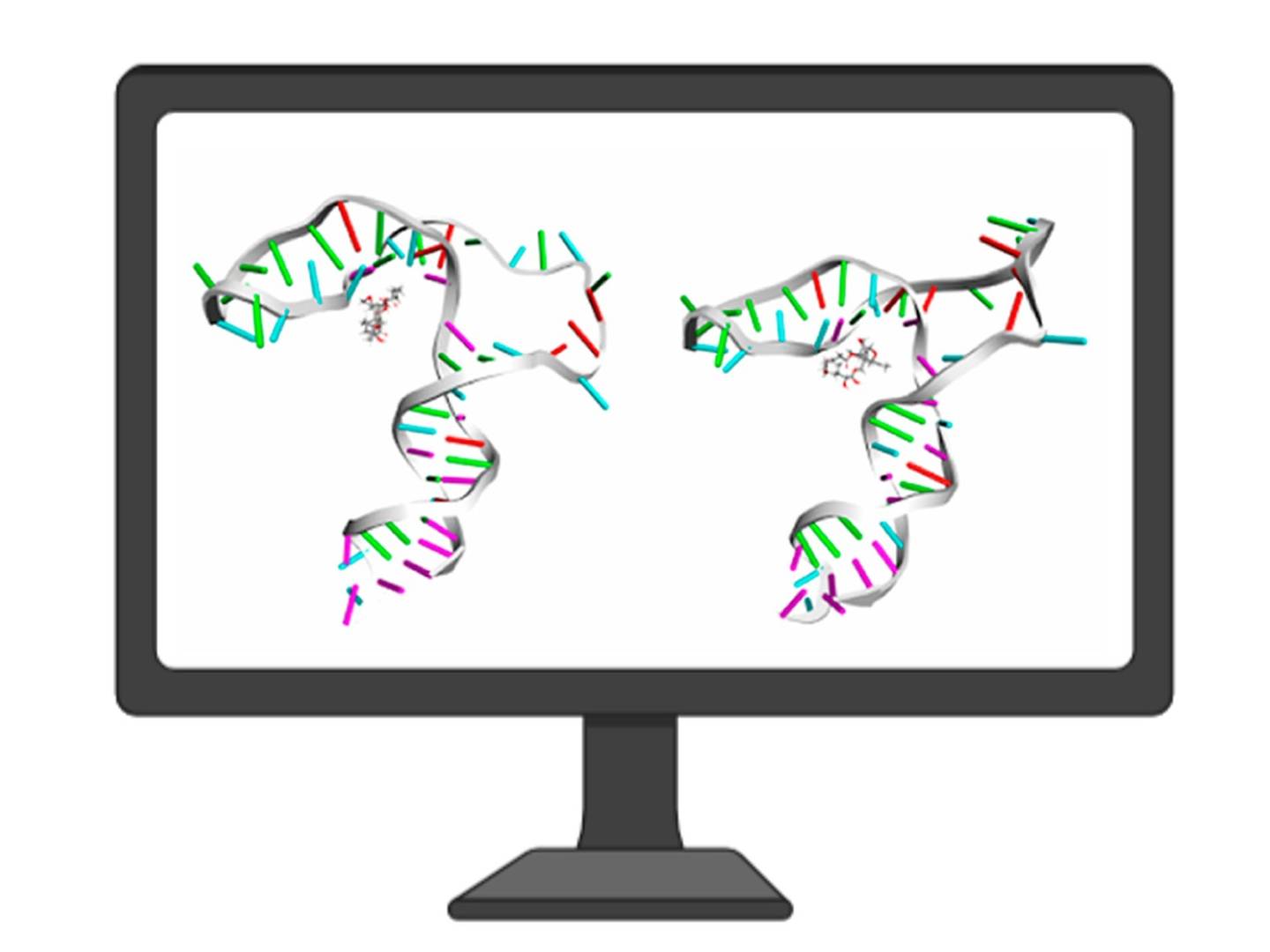In Silico Aptamer Design and Modeling service