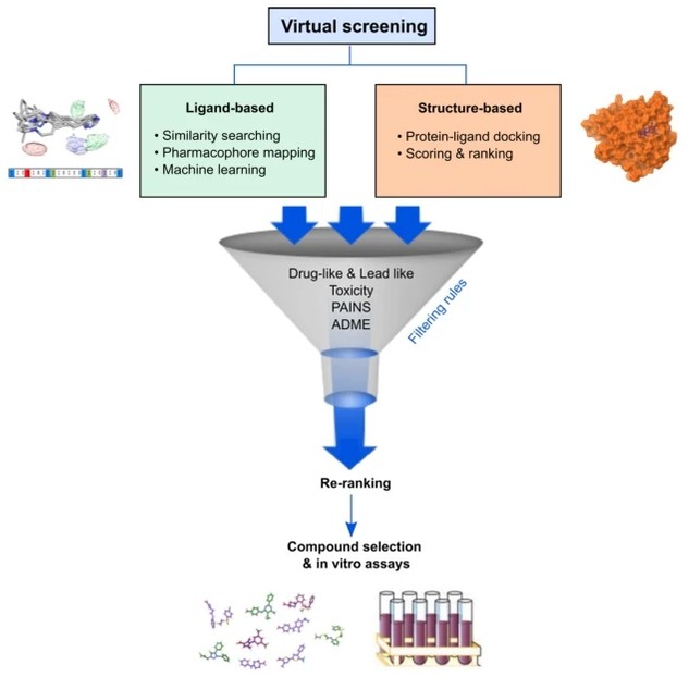 Virtual screening workflow integrating ligand-based and structure-based approaches in drug discovery
