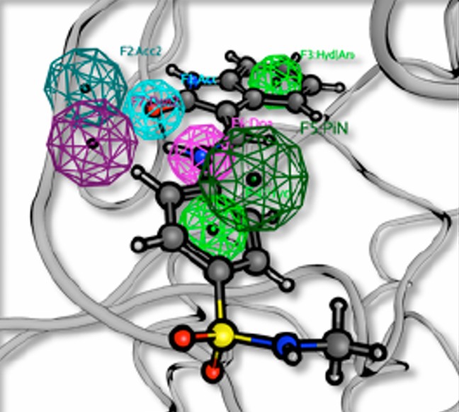 Pharmacophore model, Voet et al., 2013