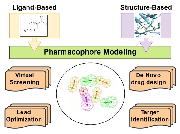 Pharmacophore modeling workflow