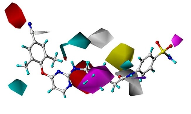 Docking-based 3D-QSAR model, Liu et al., 2019