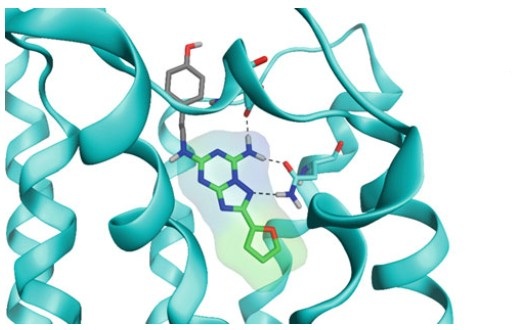 Schematic overview of hybrid virtual screening integrating ligand-based and structure-based approaches