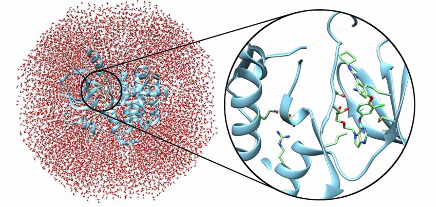 Protein–ligand complex