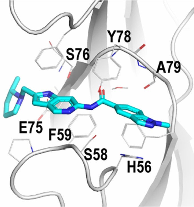 Custom small-molecule synthesis