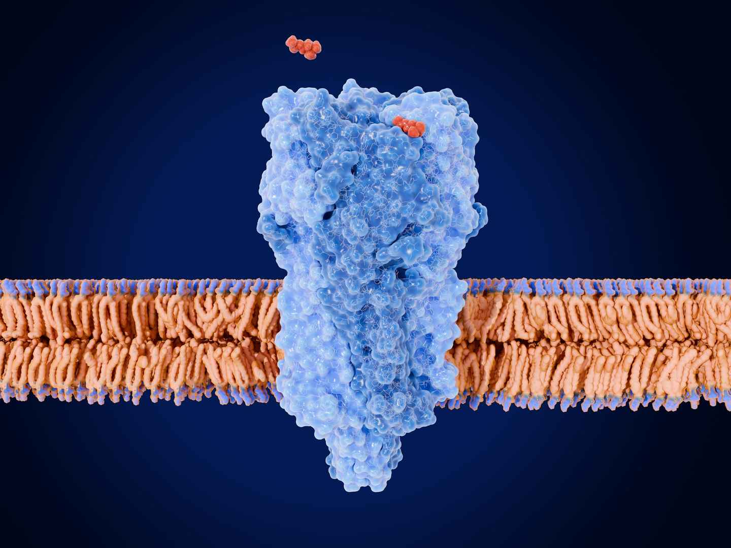 Membrane protein structure modeling and computational prediction
