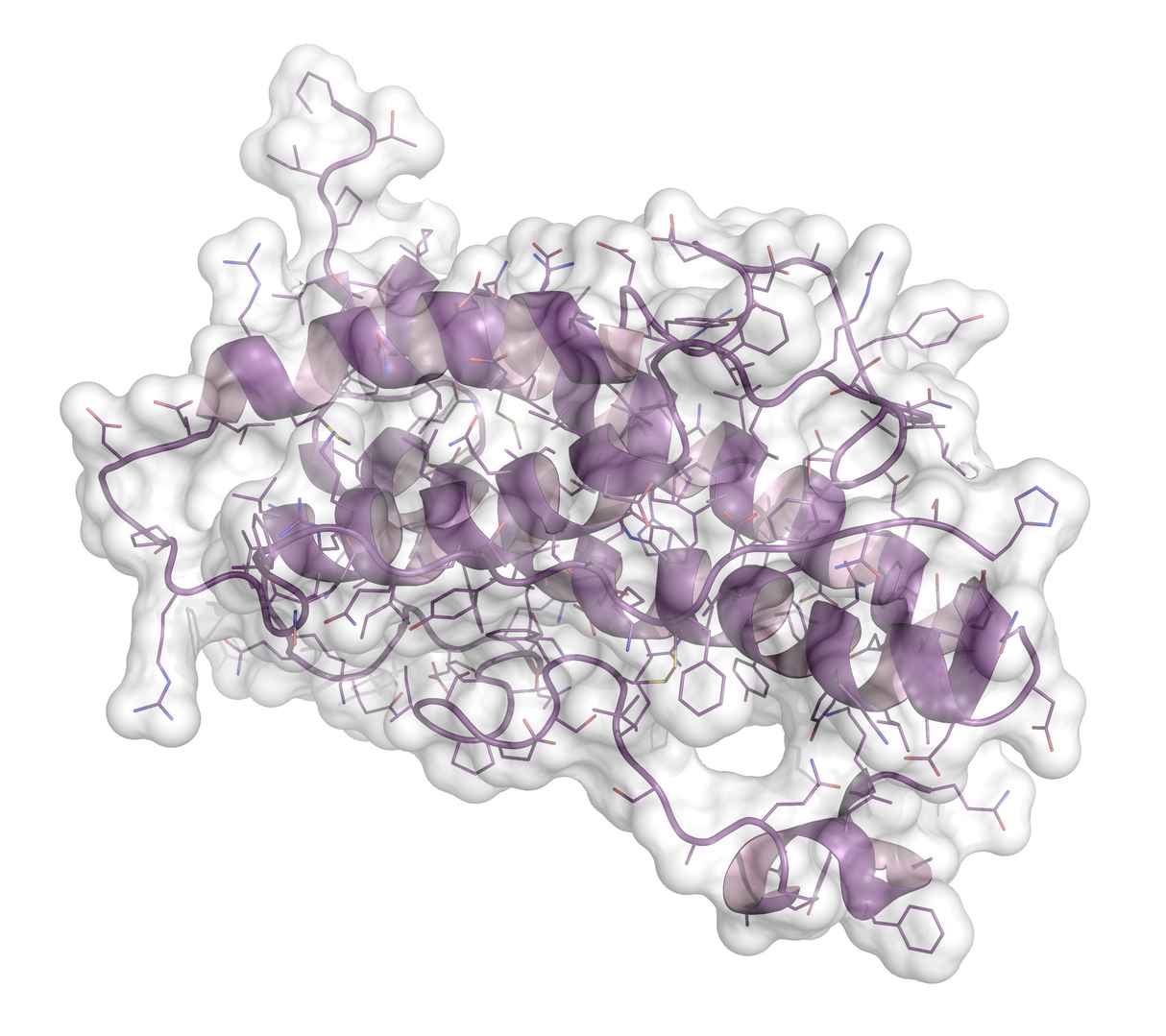 Homology modeling and comparative protein structure prediction