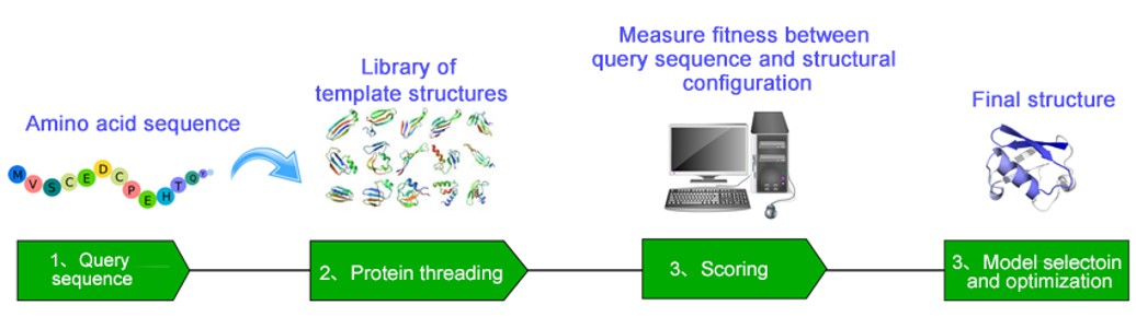 Protein structure prediction by fold recognition threading workflow