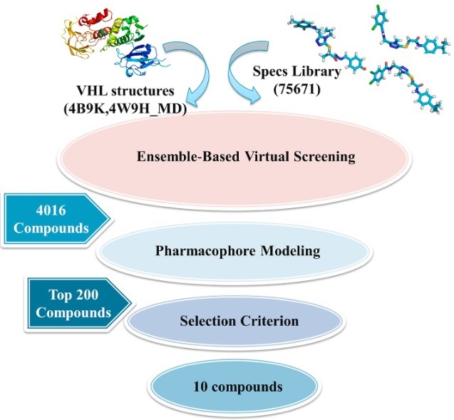 The workflow of virtual screening for small compound ligand discovery